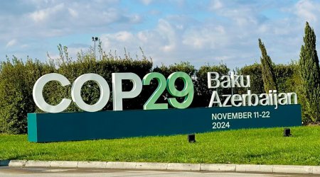 COP29-da “Yaşıl şəhər nəqliyyatı” mövzusunda nazirlərin dəyirmi masası TƏŞKİL EDİLƏCƏK