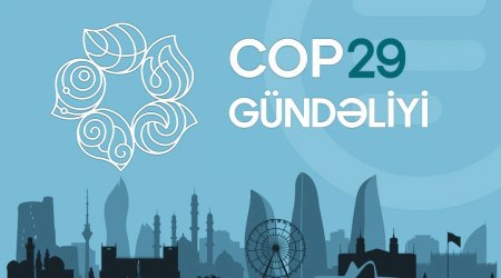 COP29 gündəliyi - 11.11.2024