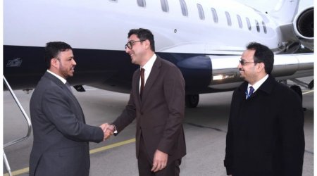 Daha üç ölkənin rəsmisi Azərbaycanda – FOTO