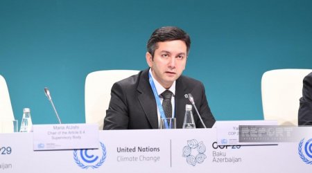 Yalçın Rəfiyev: COP29-da iqlim dəyişikliyi ilə bağlı kompleks işlər görməliyik