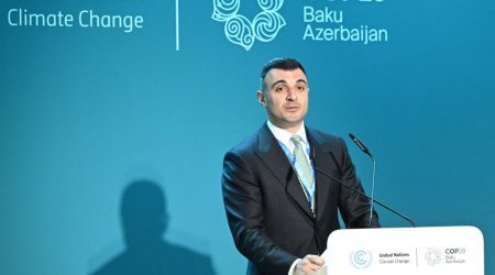 Biz yaşıl maliyyə üçün funksional ekosistem hazırlayacağıq - Mərkəzi Bankın sədri