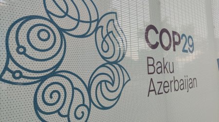 COP29 iştirakçılarının neçə nəfəri media nümayəndəsidir?