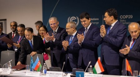 COP29-da iqlim dəyişikliyi və buzlaqların qorunması üzrə birgə Bəyannamə İMZALANDI