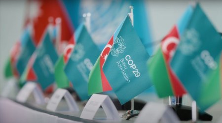 COP29 dizayn və brendinqini həyata keçirən azərbaycanlılar kimdir? - VİDEO