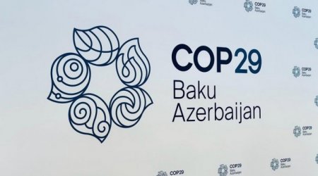 COP29-da qadınların qarşılaşdığı özünəməxsus çətinliklər müzakirə olundu