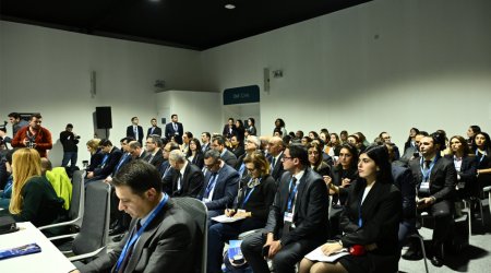 COP29-da yaşıl iş yerlərinin inkişafı ilə bağlı uğurlu təcrübələr müzakirə olundu - FOTO