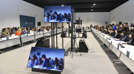 COP29-da “uşaqlar və gənclərin iqlim fəallığı" mövzusunda yüksəksəviyyəli dəyirmi masa KEÇİRİLDİ - FOTO