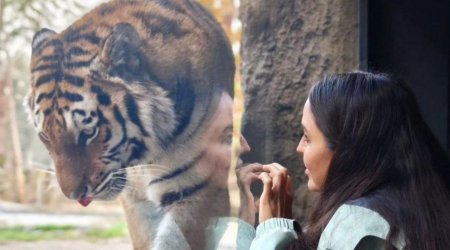 Leyla Əliyeva Bakı Zooloji Parkında - FOTO