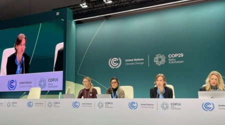 COP29 platformasında bir neçə mətbuat konfransı keçirildi - FOTO