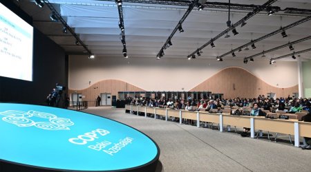 COP29-un yekun qərarlarından birində Bakı Qlobal İqlim Şəffaflığı Platforması yer alıb