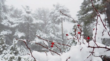 20 dərəcə şaxta olacaq – Hava ilə bağlı növbəti XƏBƏRDARLIQ