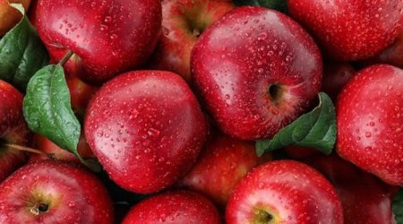 Almanı zəhərə çevirən hamının etdiyi məşhur səhv AÇIQLANDI