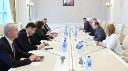 Azərbaycan və Sloveniya parlament dostluq qruplarının görüşü KEÇİRİLDİ