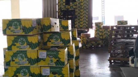 Azərbaycana gətirilən 24 ton banan məhv edildi – FOTO