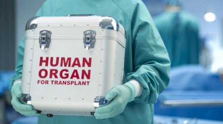 Azərbaycanda orqan köçürmələrinin sayı AÇIQLANDI – RƏSMİ