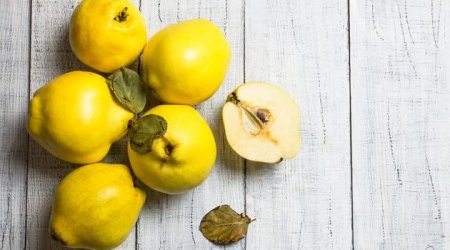 Gündə 100 qram heyva ilə güclü immunitetə SAHİB OL