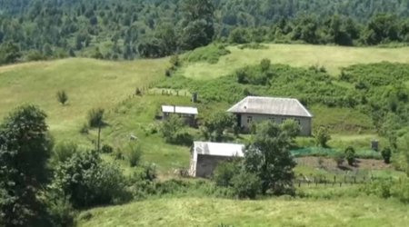 Lənkəranda itkin düşən kişinin meyiti dərədə TAPILDI