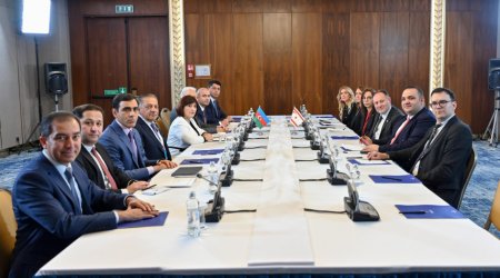 Şimali Kipr Türk Cümhuriyyəti Məclisinin sədri Azərbaycana təşəkkür etdi - FOTO
