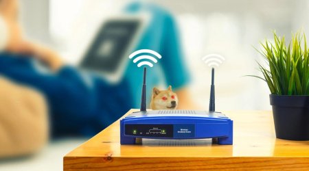 Yaponiyada internet sürətində YENİ REKORD müəyyən edildi