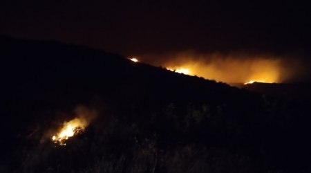 Ağdamın Əlağalı kənd qəbiristanlığı yanğından mühafizə olundu