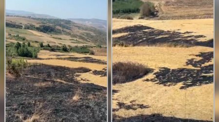 Şamaxıda yanğın törədən şəxs məsuliyyətə cəlb olundu