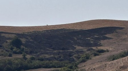 Məlhəmdə yanğın törədən şəxs SAXLANILDI