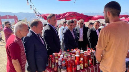 Göygöldə “Moruq festivalı” start götürdü - FOTO/VİDEO