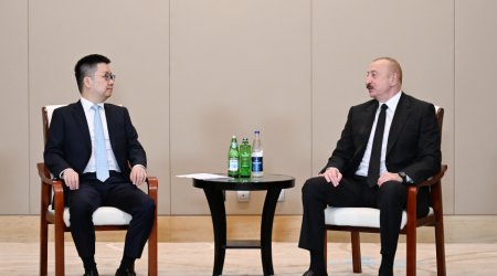 Ələt Azad İqtisadi Zonasında Günəş panelləri istehsal edən müəssisə yaradılacaq - FOTO