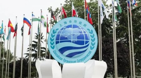 Əhəmiyyətsiz QİSAS CƏHDİ – Hindistanın ŞƏT-ə üzvlüyümüzə blok qoymasının PƏRDƏARXASI