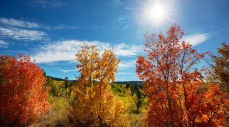 Payız fəsli Azərbaycana bu tarixdə daxil olacaq