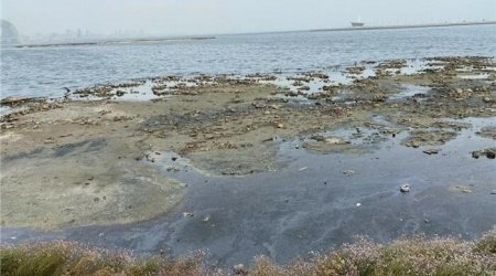 Xəzər dənizi sürətlə quruyur: Britaniyalı alimdən XƏBƏRDARLIQ