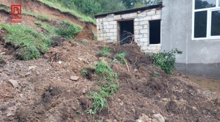 Astarada torpaq SÜRÜŞMƏSİ: Sitrus ağacları və toyuqlar torpaq altında qaldı – FOTO