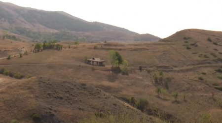 Ağcakənddə məskunlaşan yeganə ailə: "30 yaşımda çıxdığım torpağa 63 yaşımda qayıtdım" – VİDEO