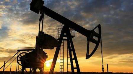 Neftimiz ucuzlaşdı