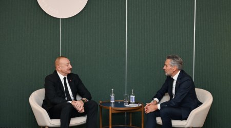 Prezident Niderlandın Baş naziri ilə görüşdü – FOTO/VİDEO