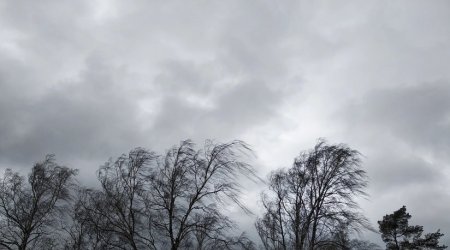 Sabah külək güclənəcək, çiskin olacaq