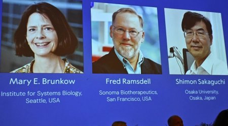 3 alimə Nobel mükafatı verildi