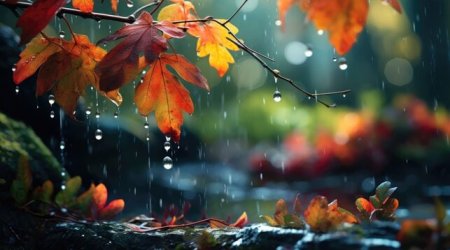 Yağıntılı hava nə vaxtadək davam edəcək?