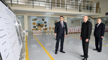 Prezident Sabirabadda toxum istehsalı müəssisəsində - FOTO