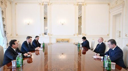 İlham Əliyev Rumıniya Parlamenti Senatının sədrini QƏBUL ETDİ - FOTO