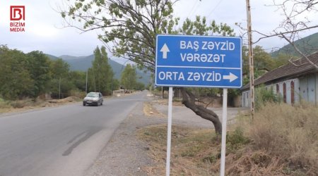 Şəkidə mikroavtobus ağaca çırpıldı - Sürücü xəsarət aldı