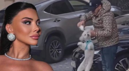 Aysel itə qəddarlıq edən şəxsin videosunu paylaşdı - VİDEO