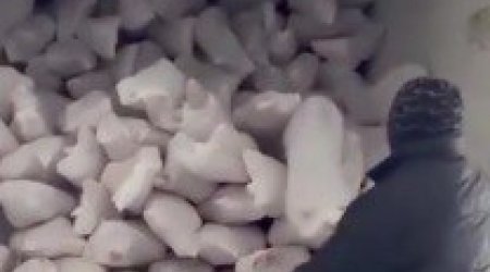 "12 manata monqol əti" Azərbaycan bazarını bürüyüb - VİDEO