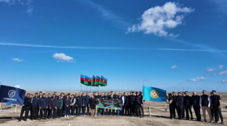 FHN Zəfər Gününə həsr olunmuş ağacəkmə aksiyası keçirdi