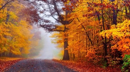 Oktyabr ayında havanın temperaturu normadan yuxarı olub – RƏSMİ