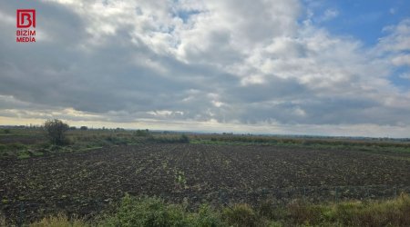 Qusarda torpaq DAVASI - Şəhid bacısının ailəsinə məxsus torpağı necə ƏLƏ KEÇİRİBLƏR? – FOTO