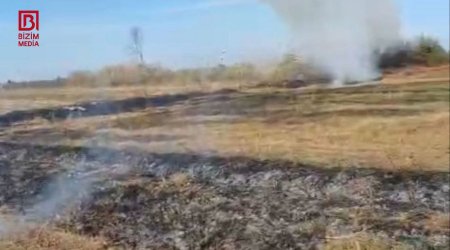 Zərdabda yanğın törədən şəxs məsuliyyətə cəlb olundu