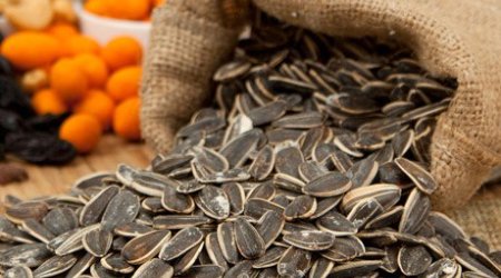 Günəbaxan tumu kökəldir, yoxsa arıqladır - ARAŞDIRMA