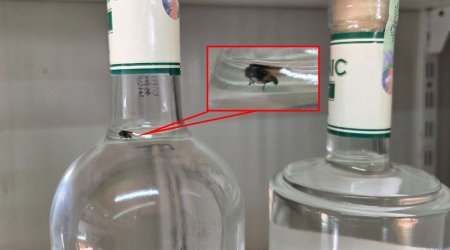 Cəbrayılda saxta alkoqollu içkinin içindən milçək çıxdı – FOTO