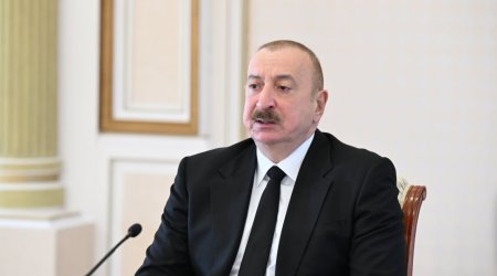 Prezident: “Əkin-biçin üçün yararlı olan torpaqlarda bəzi məmurlar özləri üçün imarətlər inşa ediblər”